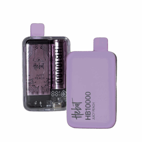 HEBAT HB10000 PUFFS DISPOSABLE MESH BOX